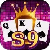 s9 game for pc
